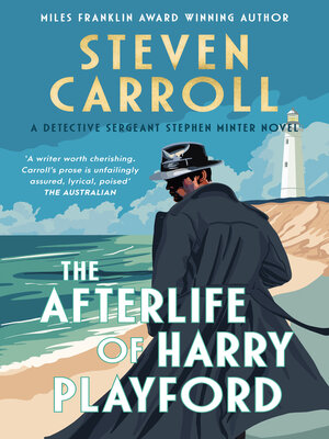 cover image of The Afterlife of Harry Playford